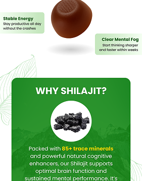 Shilajit 3