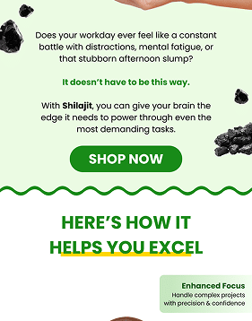 shilajit 2